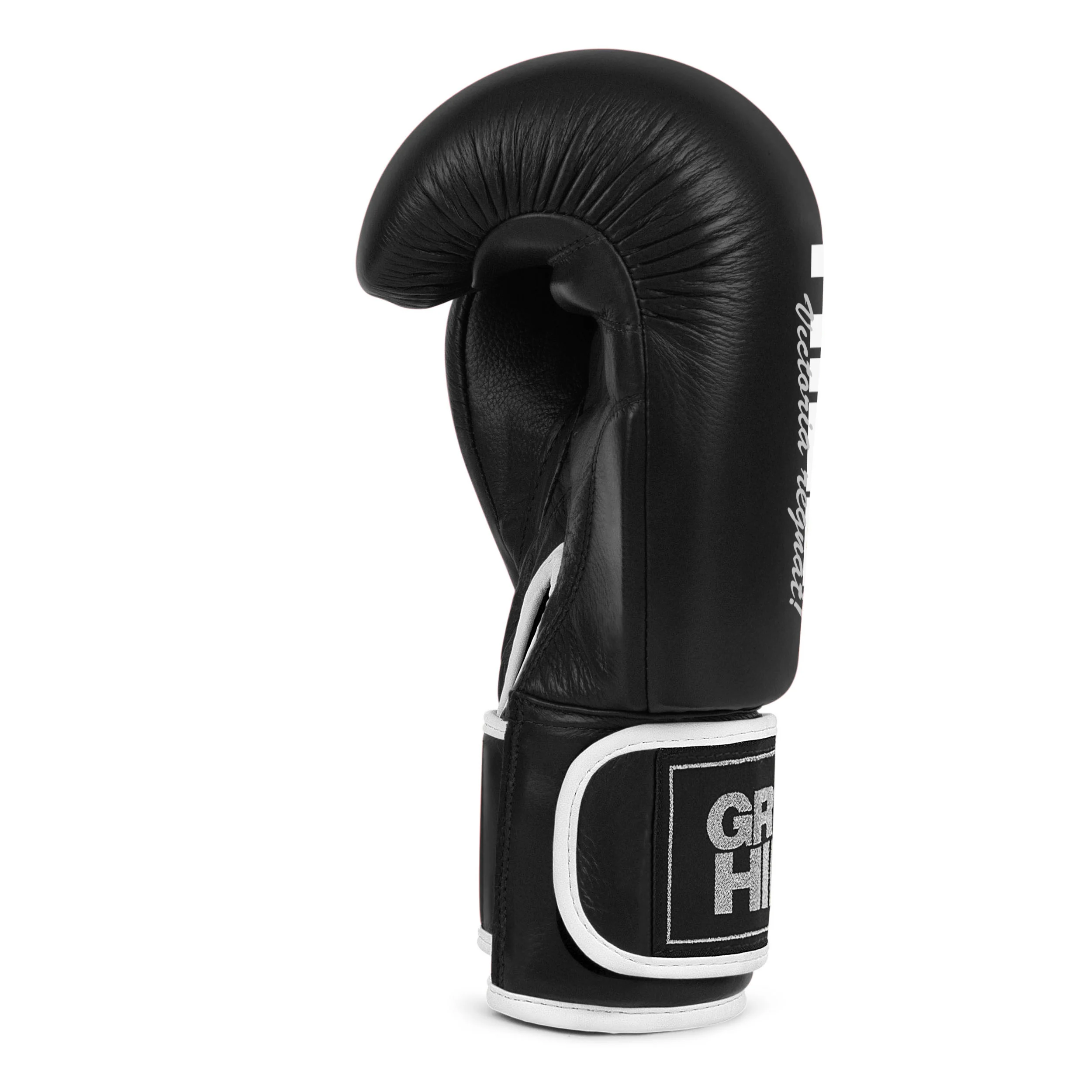Lion (Tiger), guantoni da boxe - Image 10