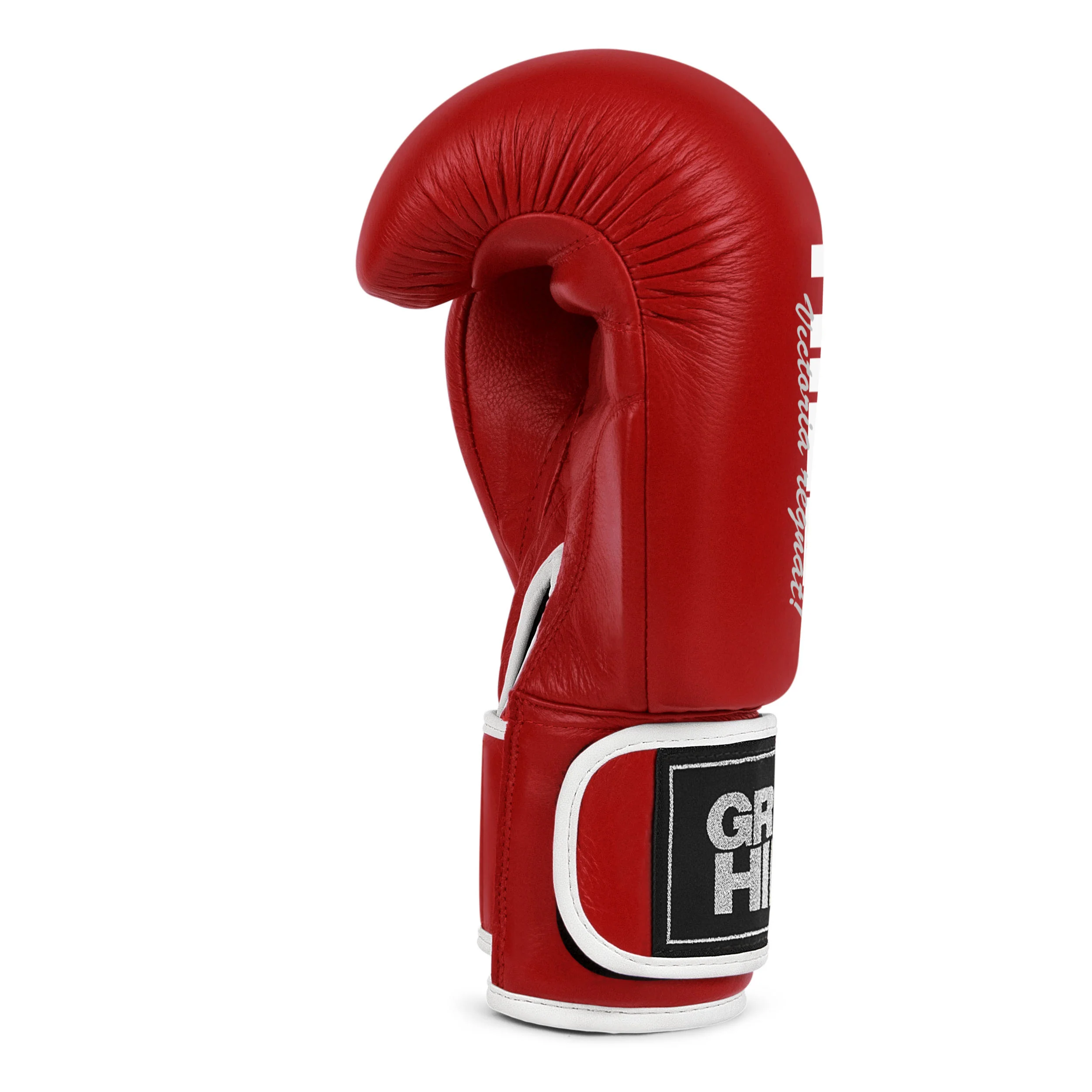 Lion (Tiger), guantoni da boxe - Image 13