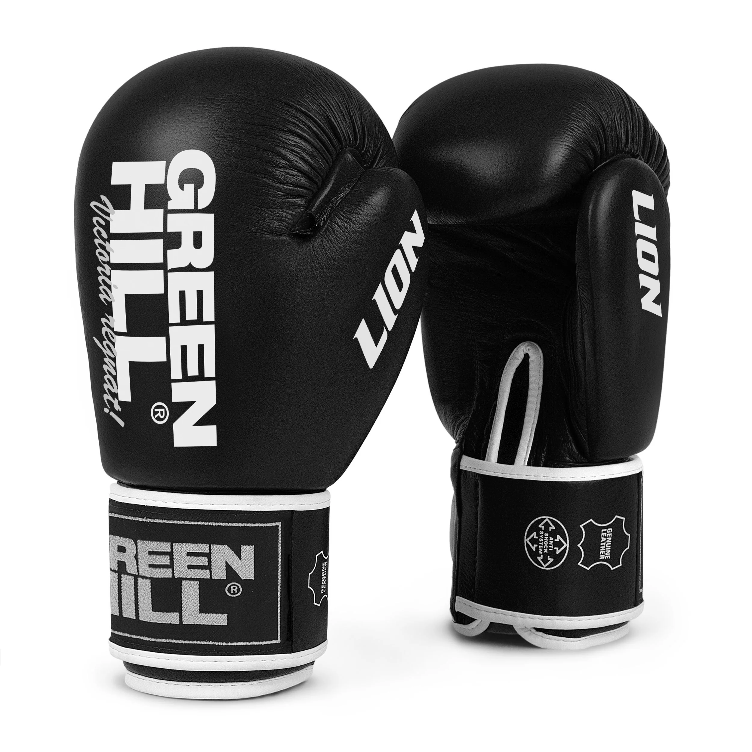 Lion (Tiger), guantoni da boxe - Image 2