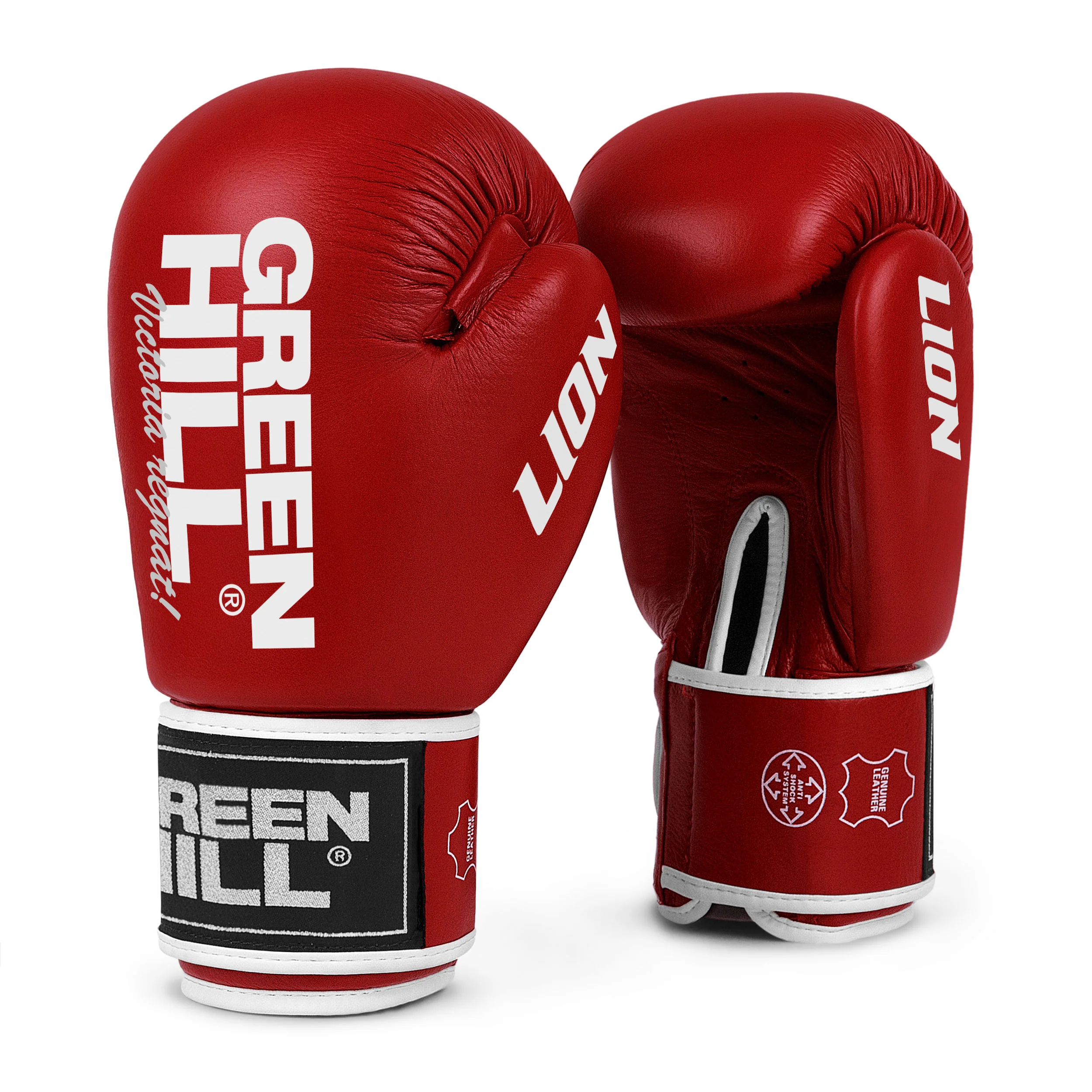 Lion (Tiger), guantoni da boxe - Image 3