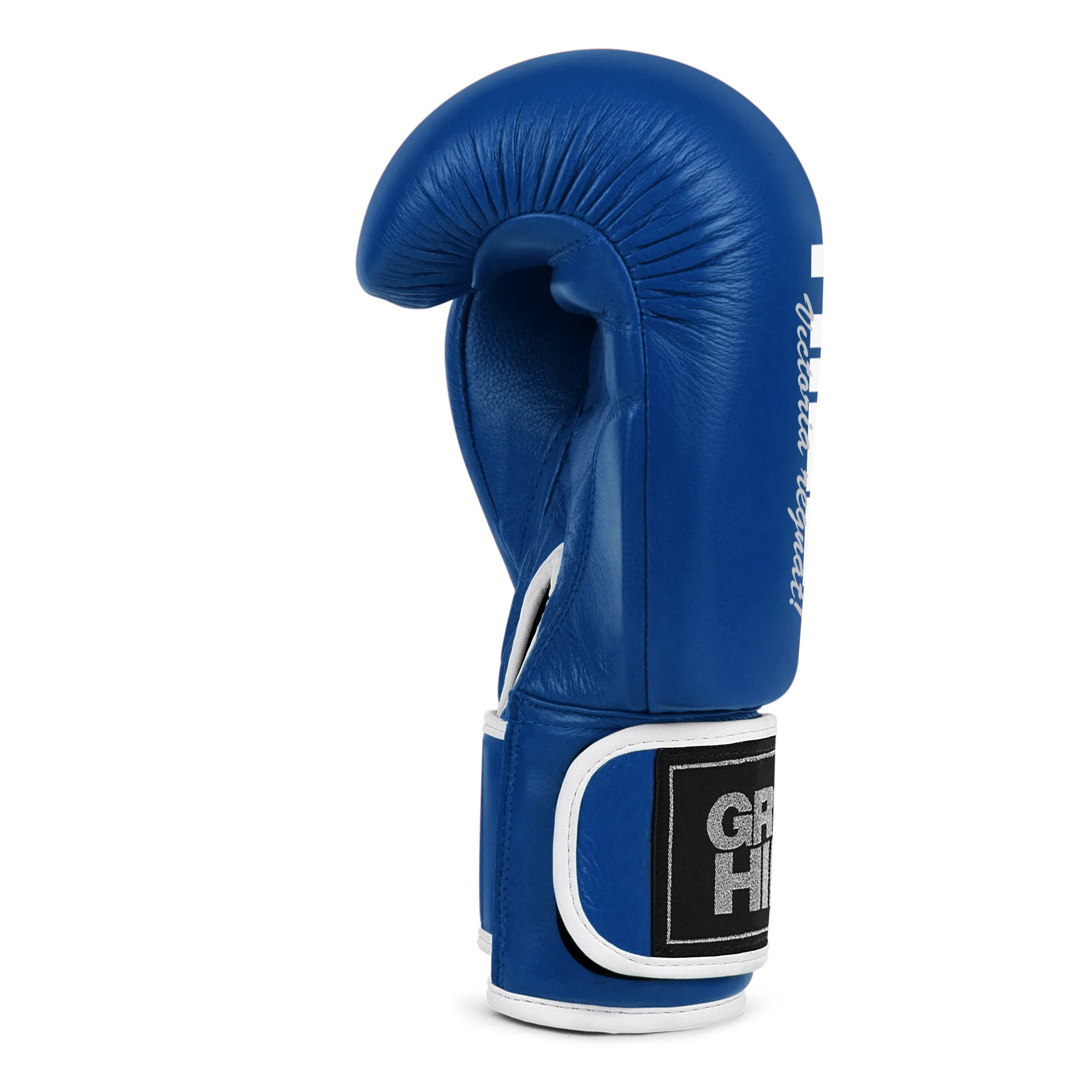 Lion (Tiger), guantoni da boxe - Image 7
