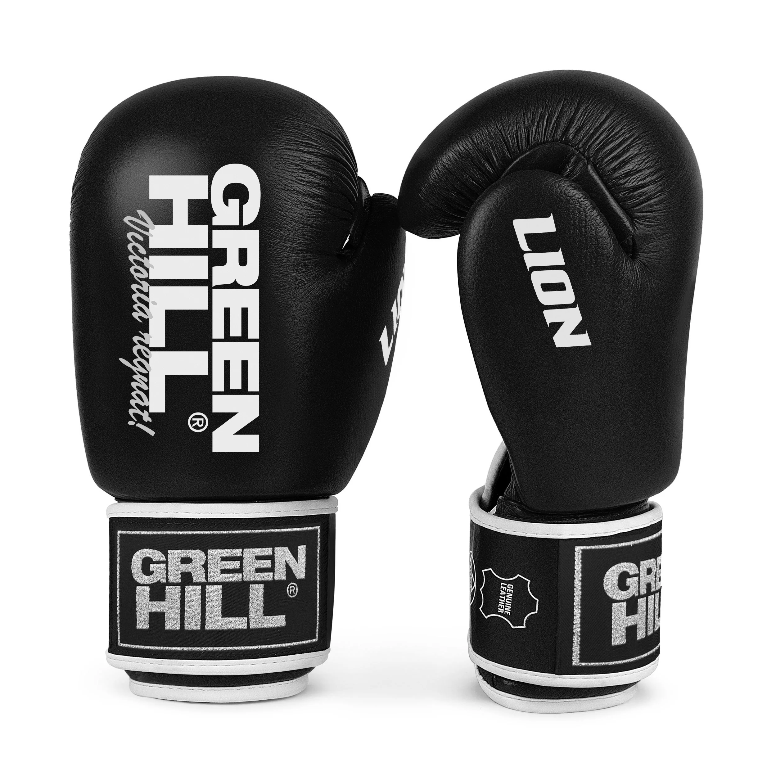 Lion (Tiger), guantoni da boxe - Image 8