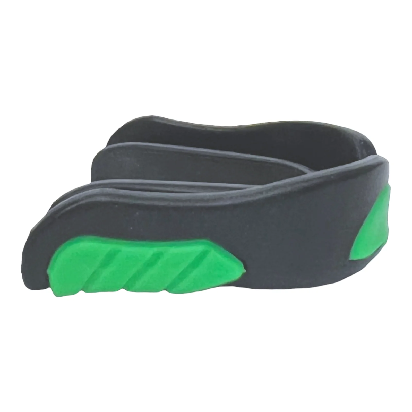 Paradenti Lizard - Image 6